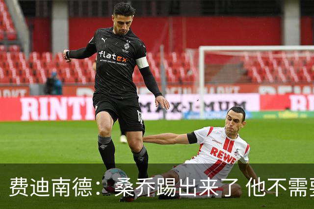 费迪南德：桑乔踢出来了 他不需要再与其他人竞争